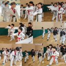 신주례태권도체육관 이미지