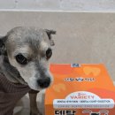 블루덴탈 | 덴탈백서 버라이어티팩 가수분해 강아지기능성껌 추천