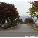 회양정식당 네이버블로그