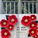 나무숲, 만리향, 테누토, 판교 시간이 멈춘 마을, 카페 큐브, 공주 메리봉봉, 베이커리 밤마을) 제목없음