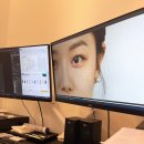 사비켄넬 | 1상글 (부제: 올해 황당한 사건들 크린토피아 덤탱이 &amp; 유기견 임보 거절 보호단체 갑질)