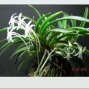 넘버에잇 이미지