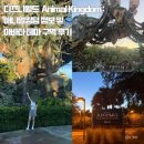 아름다운킹덤 | [미국_올랜도] 디즈니월드 Animal Kingdom : 애니멀킹덤 정보 및 아바타 테마 구역 후기