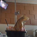 안동의료원 | 경상북도 안동의료원 입원병동 1인실 발가락 골절수술 4일간의 후기