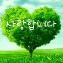 서울조이치과의원 이미지