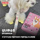 와우펫마트 | 강아지신발 신나라슈즈 | 일회용 산책 발보호 염화칼슘방지 1년 사용후기