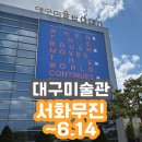 6월 14일까지, 대구에서 꼭 봐야할 미술전시, 대구 미술관 서화무진 후기