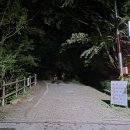 지리산황금나무 | 지리산 반야봉 가는 길