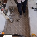 주은청설아파트앞 이미지