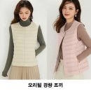 오리털 경량조끼 이미지
