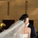왕카페 | [몰디브-1일차] 본식끝! 신행시작! | 싱가포르항공 경유 | 말레공항 아보카인 호텔 투숙 후기