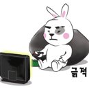 노송주유소 이미지