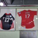 자연수산 이미지