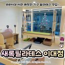 서울그랜드호스텔이대 | 이대 필라테스 '새록필라테스 이대아현점' 3대1 그룹 수업 대만족 후기