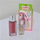 11545-06-16-07 | 삐아 오버글레이즈 풋사과당 아이라이너 다우니피그 애플에디션 메이크업 후기