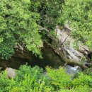 금자네펜션 이미지