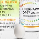 오피티 이미지