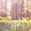 사랑이꽃피는치과의원 이미지