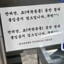 원조 쌍촌할매 청진동해장국