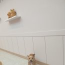 공덕링키영어교습소 이미지