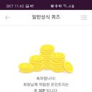 리브