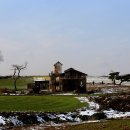 안성목장 이미지