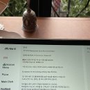 광주 첨단 술집 추천 폰오프 분위기 좋은 첨단 데이트 술집