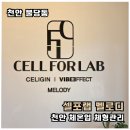 P-6107 | 천안 다이어트 셀포랩 멜로디 인바디 전후 1회 체험 후기