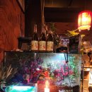 코스모스 | 광주 남구 월산동 술집 레트로 감성 낭낭한 코스모스 방문 후기