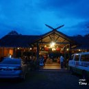 반딧불반찬 이미지