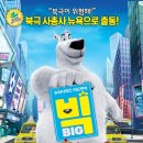 메이션