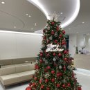 탄탄의원 이미지