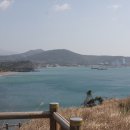 우리코스 Daum카페