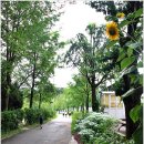 너른공원 이미지