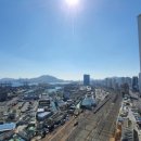 일동인테리어벽지 이미지