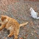 복주경매장 이미지