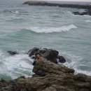 새천년도로 이미지