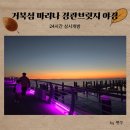 시흥 거북섬 마리나 경관브릿지 야경 후기와 떡볶이 맛집