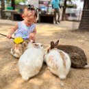 (주)대산수출포장(1종) | 안성팜랜드 4계절 놀기 좋은 곳 정보 예매 버블 체험 후기