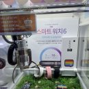 짱게임장 이미지