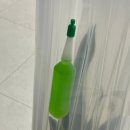 신호트리 식물쇼핑몰에서 인테리어식물 산세베리아 구매해본 후기