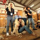 아이러브호주 이미지