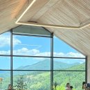 태백운수 이미지