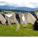 현대세탁소 이미지