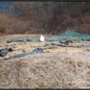 서후초등학교대흥분교장 이미지