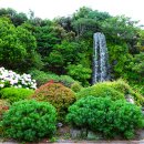 제주민속촌 이미지