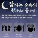 국가대표 덕양 태권도장 이미지