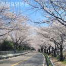 부산요양병원매점 | 부산 중구 동광동 요양원 해양요양병원 솔직후기