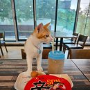 무릉도원 | 인천 연수구 찜질방 추천 무릉도원 방문후기