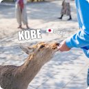 포트캔커피역사문화공원역점 | 일본 고베 나라 버스투어 사슴공원 아리마온천 여행 라쿠투어